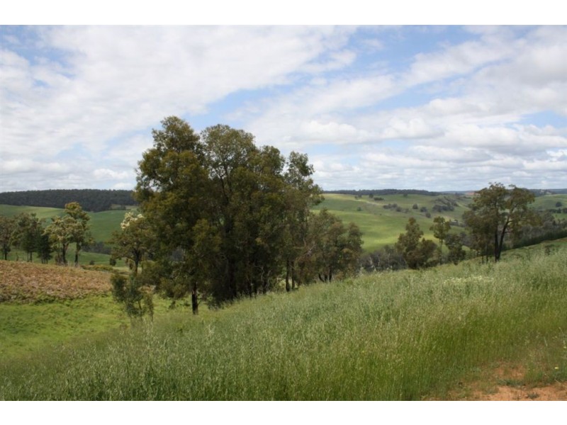 9 Riverview Close, Bridgetown WA 6255