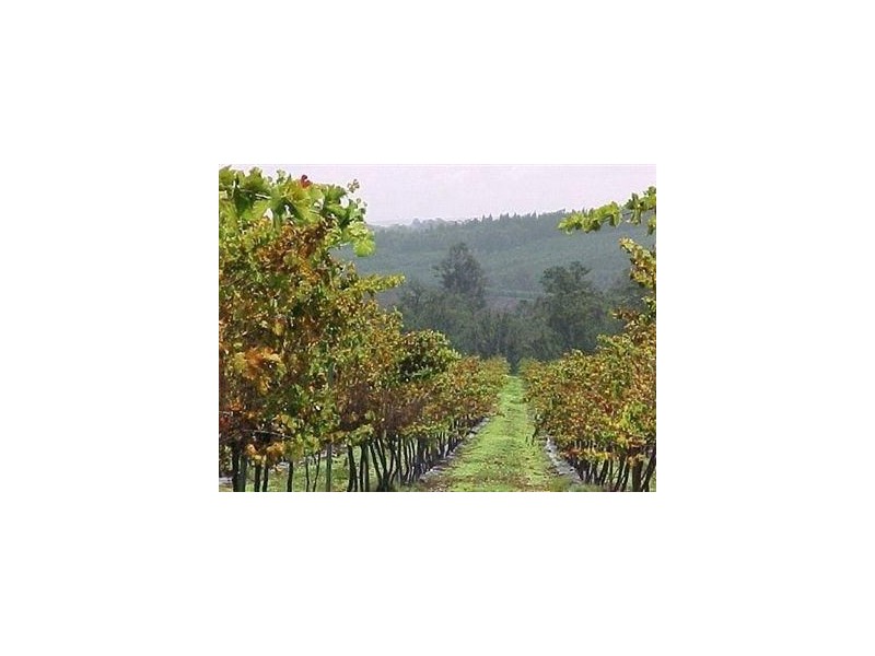 L4 Greenbushes-Boyup Brook Rd, North Greenbushes WA 6254