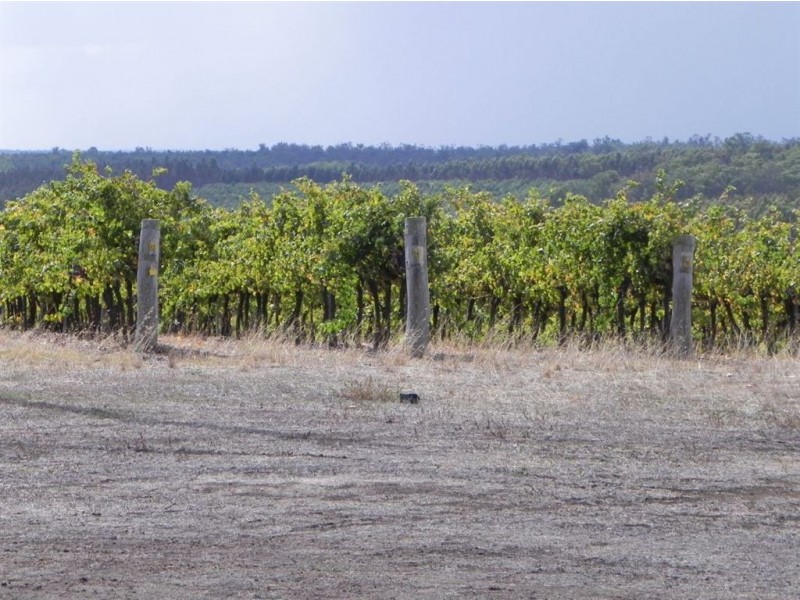 L4 Greenbushes-Boyup Brook Rd, North Greenbushes WA 6254