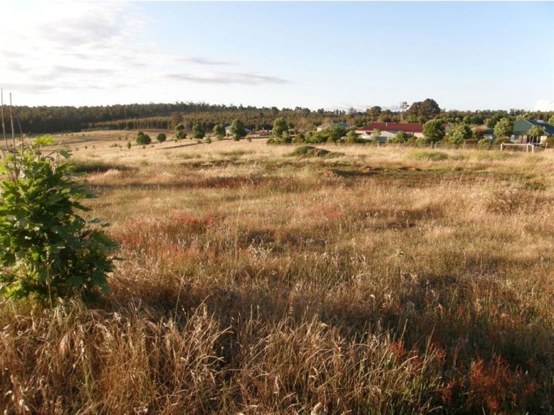 241 Aberdeen Ave, Bridgetown WA 6255