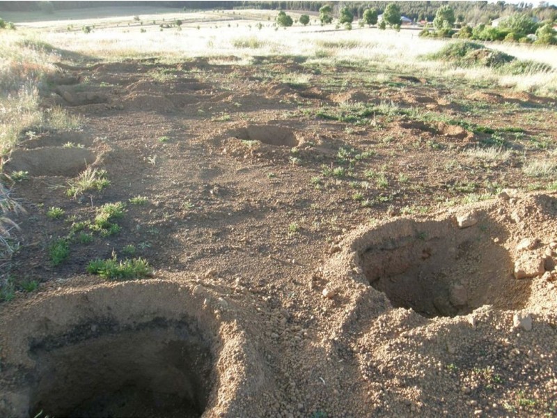 241 Aberdeen Ave, Bridgetown WA 6255