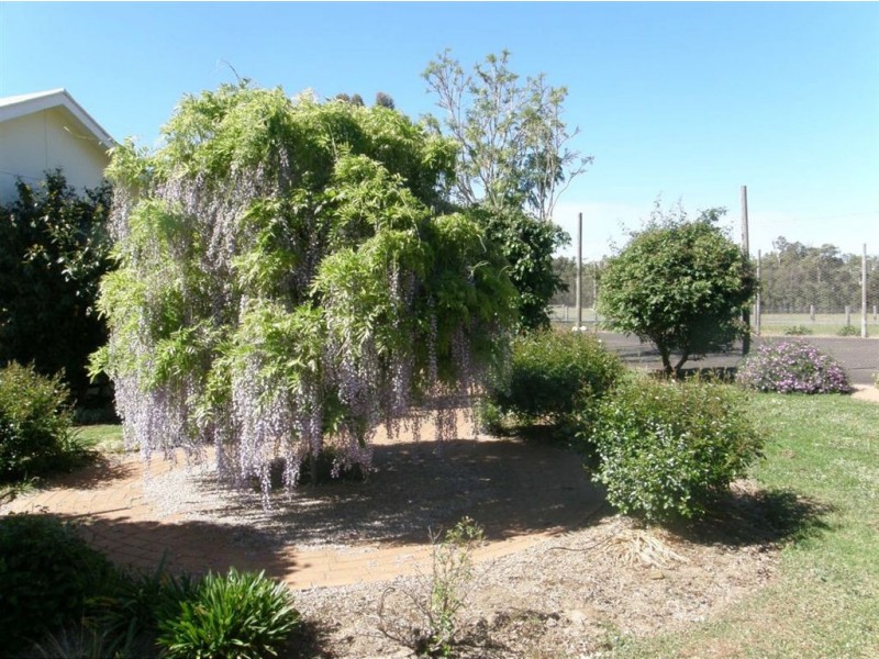 Lot 200 Whittells Road, Bridgetown WA 6255