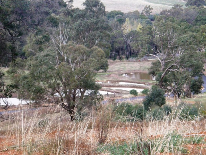 44 Warburton Road, Bridgetown WA 6255