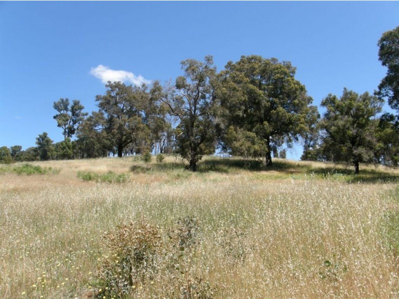 44 Warburton Road, Bridgetown WA 6255