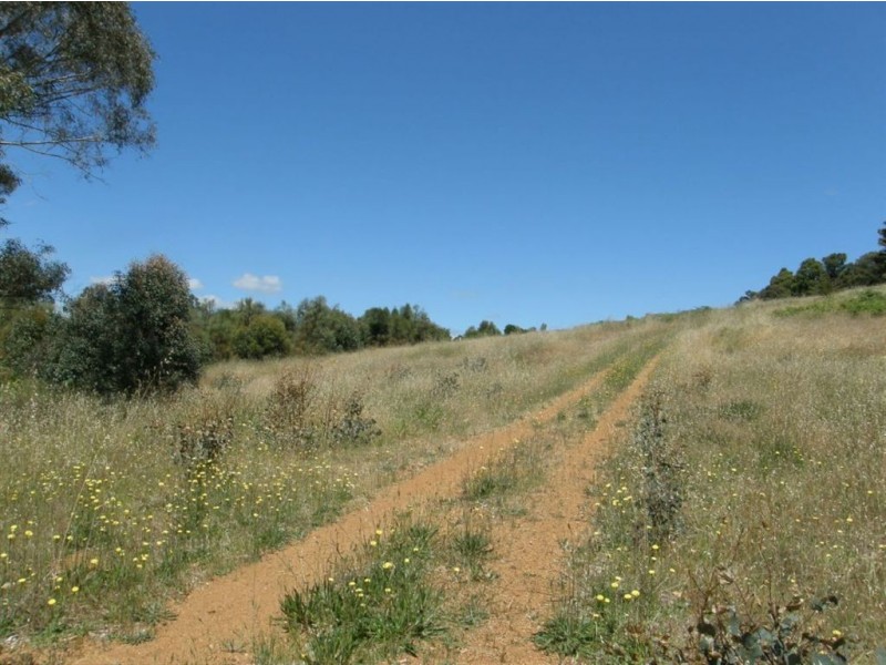 44 Warburton Road, Bridgetown WA 6255