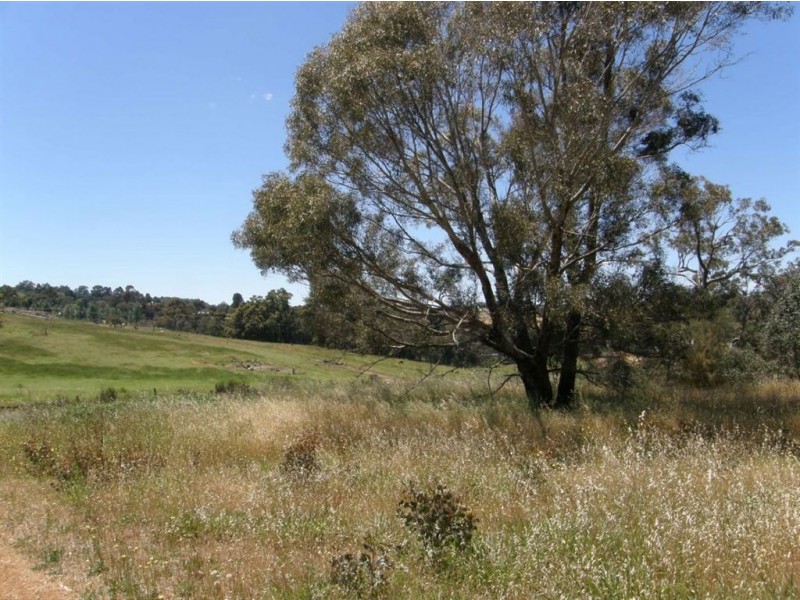 44 Warburton Road, Bridgetown WA 6255