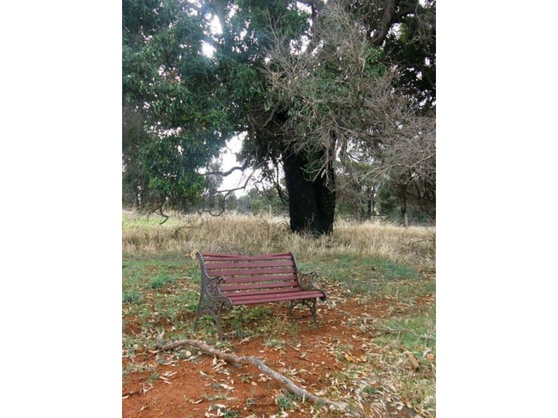 44 Warburton Road, Bridgetown WA 6255