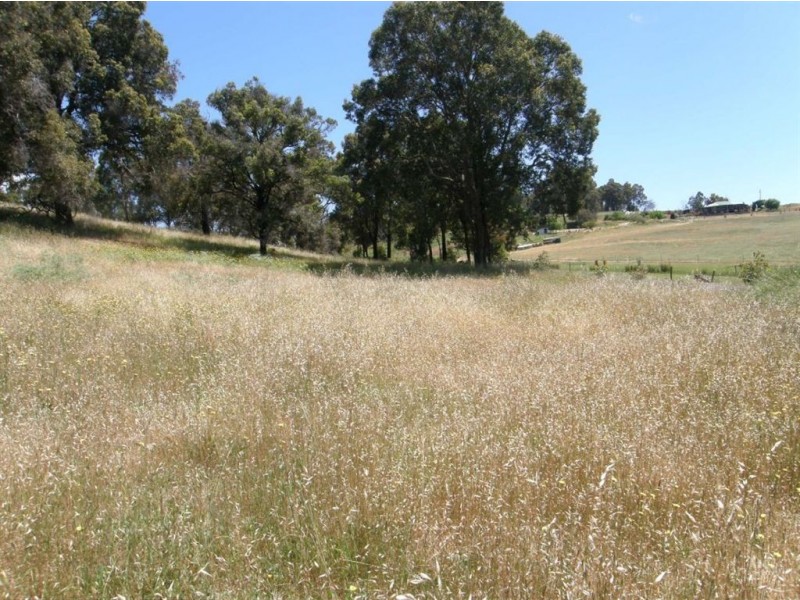 44 Warburton Road, Bridgetown WA 6255