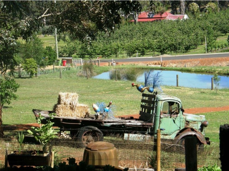 10 Dreyfus Street, Bridgetown WA 6255