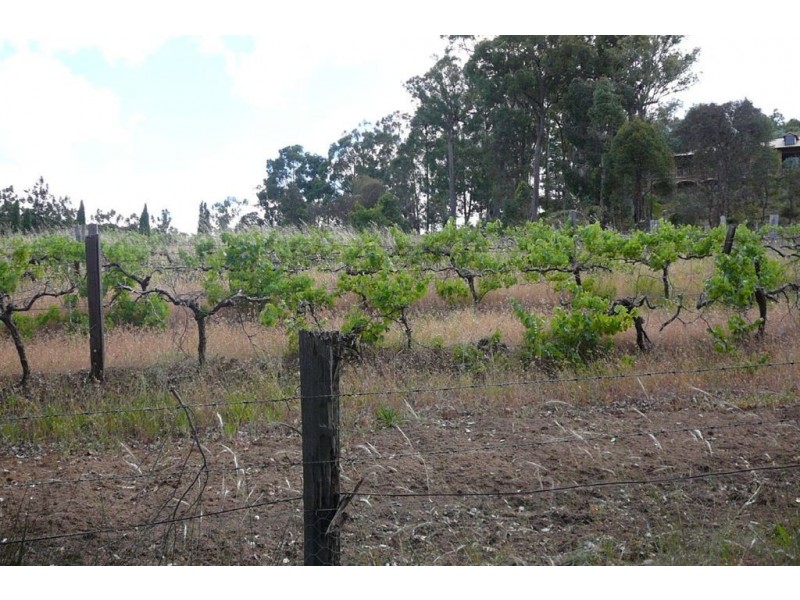 Lots2 to 6 Nelson Street, Bridgetown WA 6255