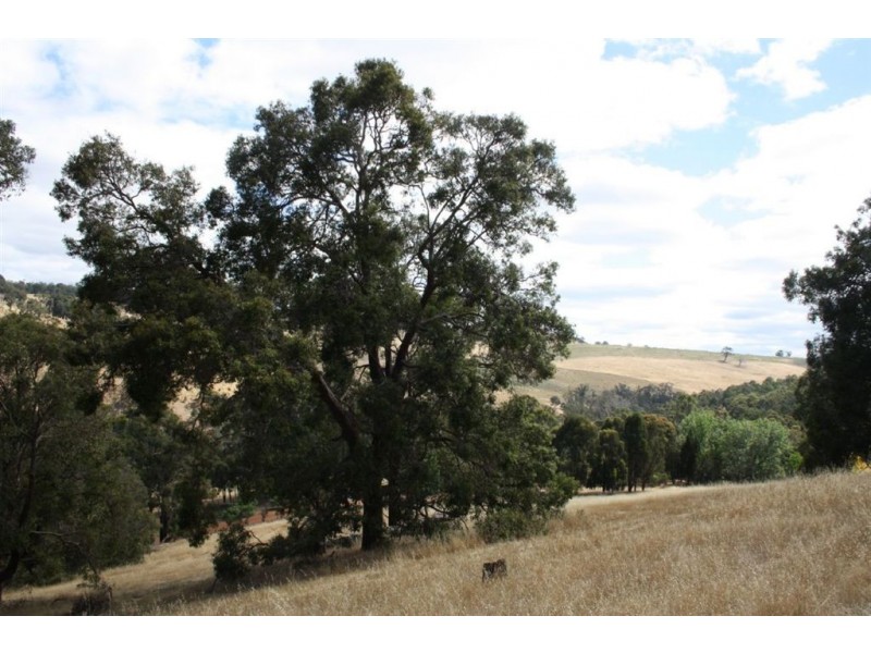 111 Eedle Terrace, Bridgetown WA 6255