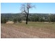 Lot 7 ALLNUTT STREET, Bridgetown WA 6255