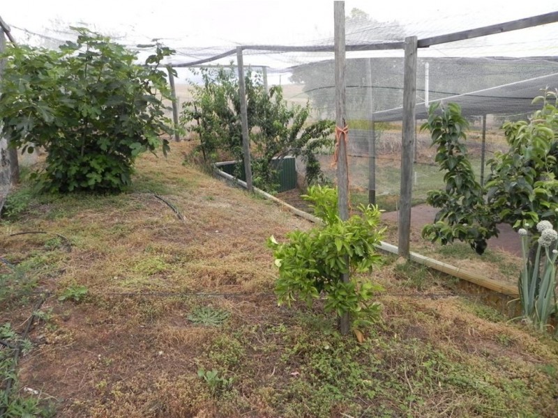 Lot 3 Waters Ford Road, Bridgetown WA 6255