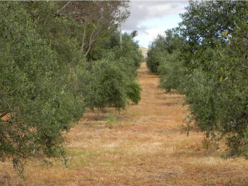 Lot 3 Waters Ford Road, Bridgetown WA 6255