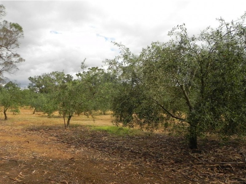 Lot 3 Waters Ford Road, Bridgetown WA 6255