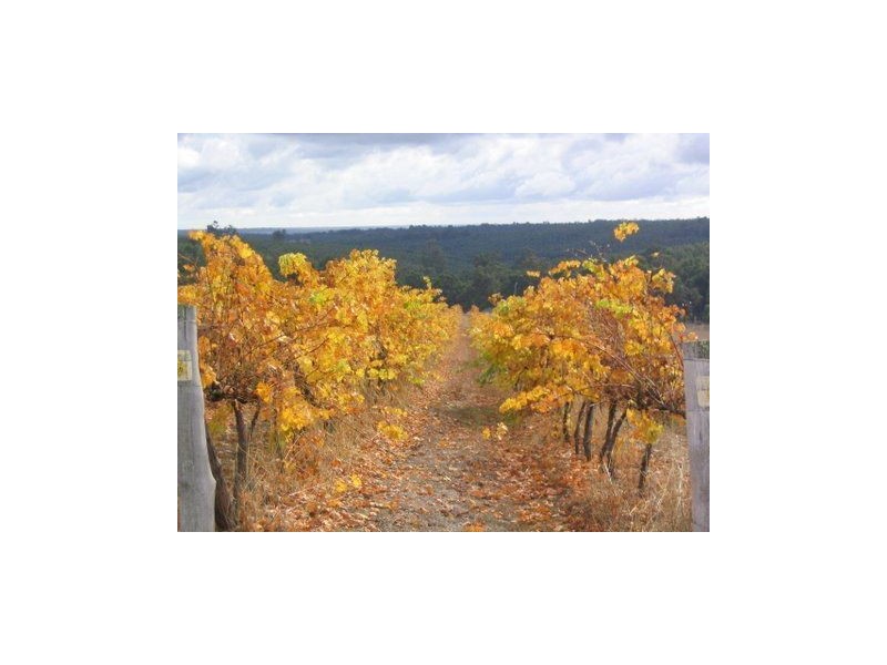 L4 Greenbushes Boyup Brook Rd, North Greenbushes WA 6254