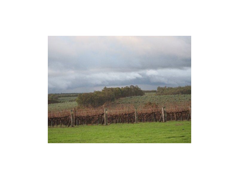 L4 Greenbushes Boyup Brook Rd, North Greenbushes WA 6254