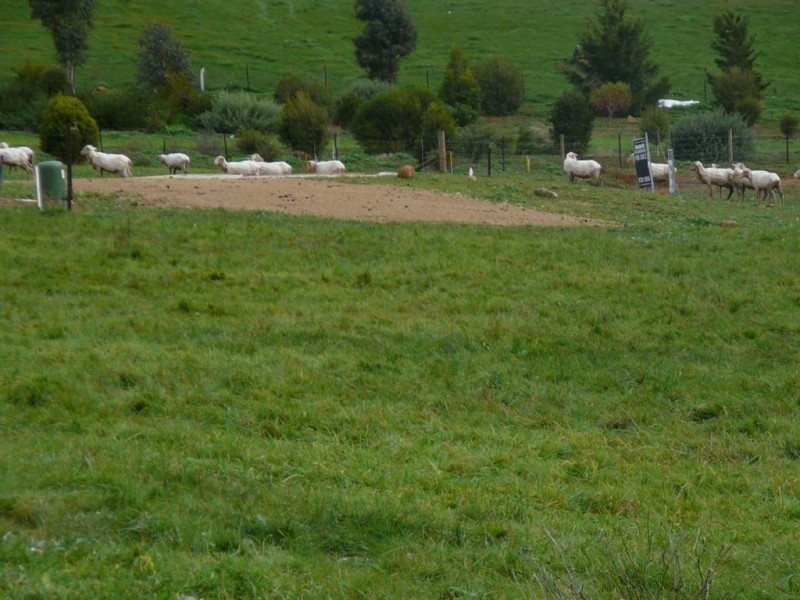 148 MAGNOLIA RETREAT, Bridgetown WA 6255