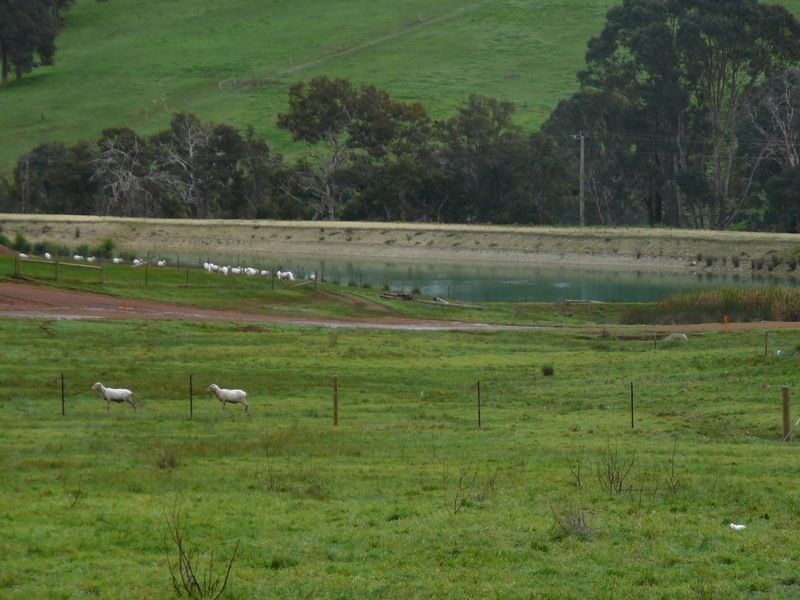 148 MAGNOLIA RETREAT, Bridgetown WA 6255