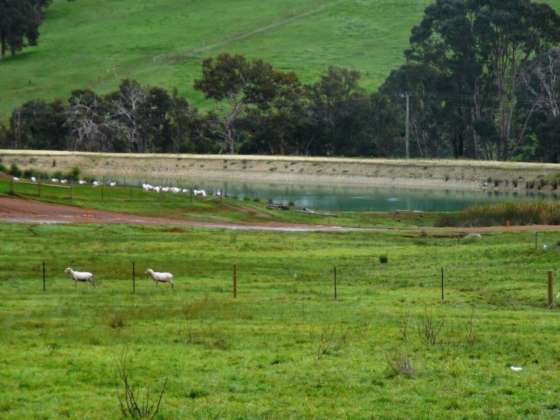 148 MAGNOLIA RETREAT, Bridgetown WA 6255