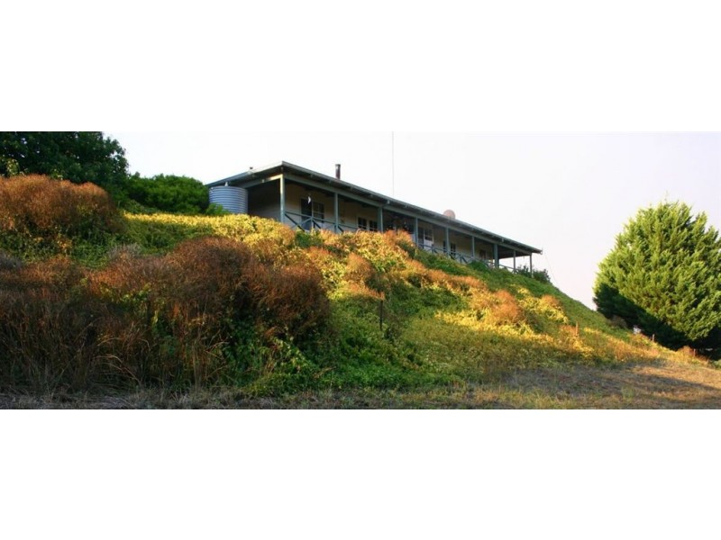 36 Roe, Bridgetown WA 6255