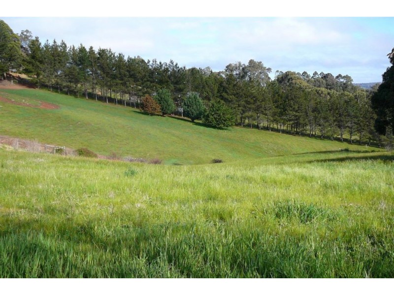 14 JACARANDA PLACE, Bridgetown WA 6255