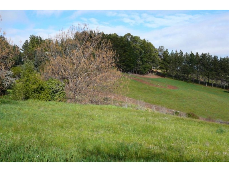 14 JACARANDA PLACE, Bridgetown WA 6255