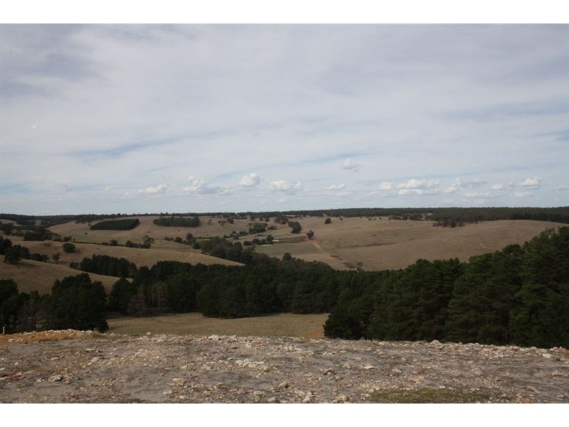 131 GOLDEN ASH RISE, Bridgetown WA 6255