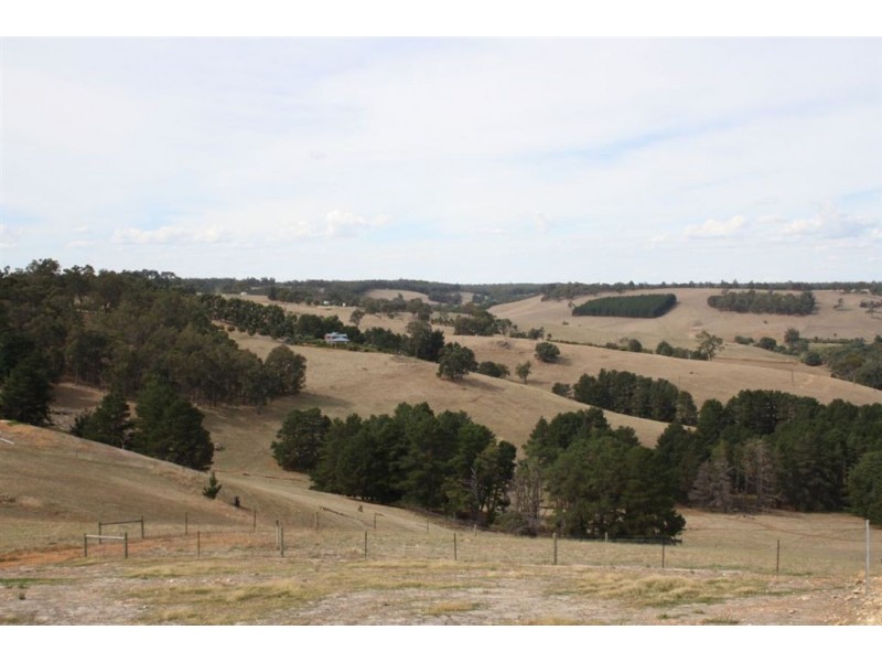 131 GOLDEN ASH RISE, Bridgetown WA 6255