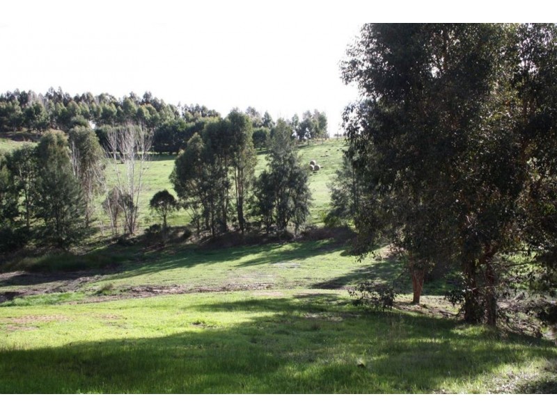 142 DAVIES STREET, Bridgetown WA 6255