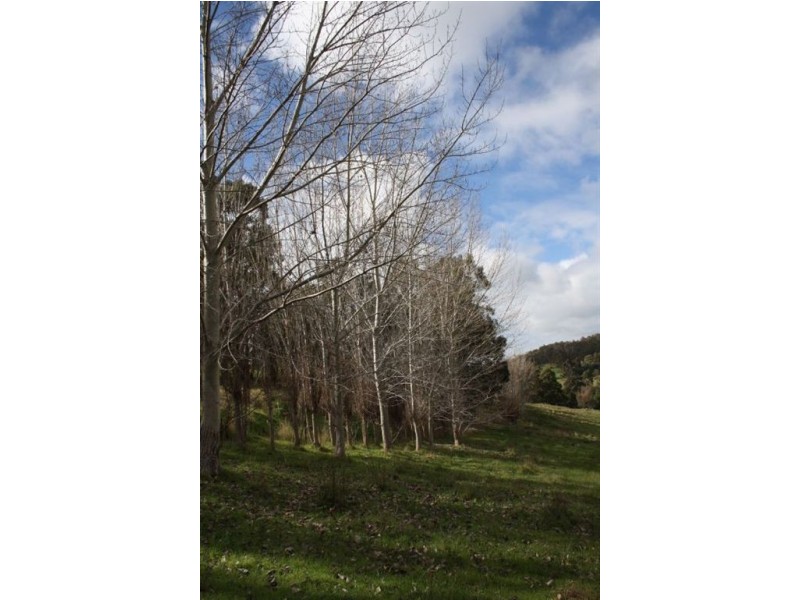 142 DAVIES STREET, Bridgetown WA 6255