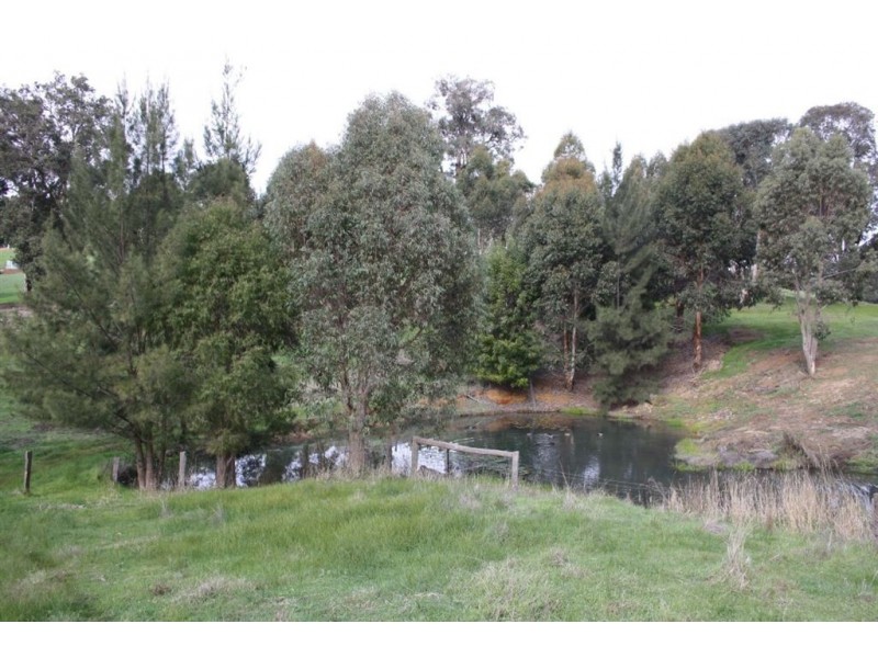 142 DAVIES STREET, Bridgetown WA 6255