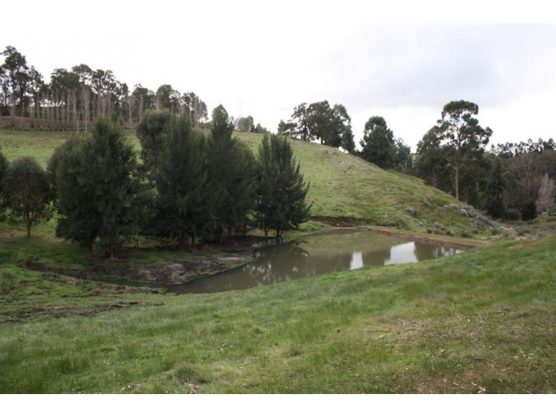 142 DAVIES STREET, Bridgetown WA 6255