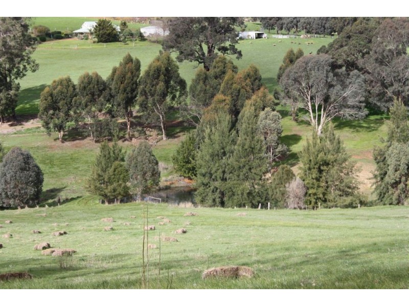 142 DAVIES STREET, Bridgetown WA 6255