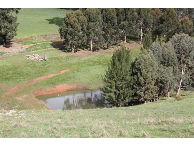 142 DAVIES STREET, Bridgetown WA 6255