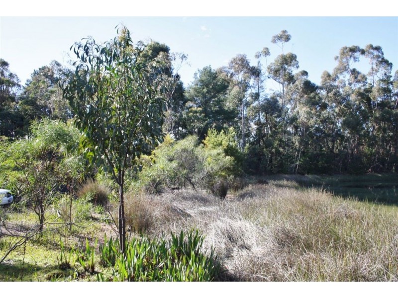 13524 BLACKWOOD ROAD, Greenbushes WA 6254