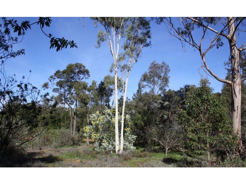 13524 BLACKWOOD ROAD, Greenbushes WA 6254