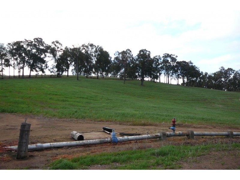 43 WALTER ROAD, Bridgetown WA 6255