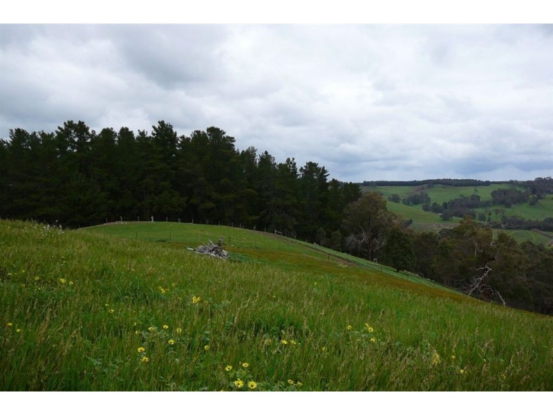 132 GOLDEN ASH RISE, Bridgetown WA 6255