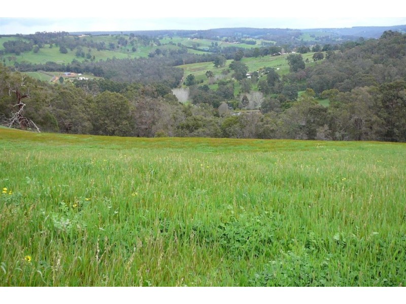 132 GOLDEN ASH RISE, Bridgetown WA 6255