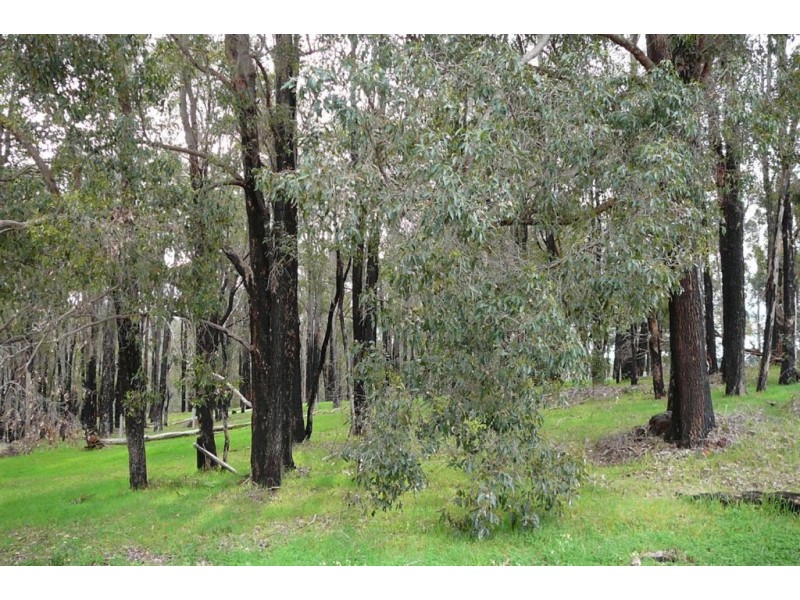 Lot 11827 MORIARTY STREET, Bridgetown WA 6255