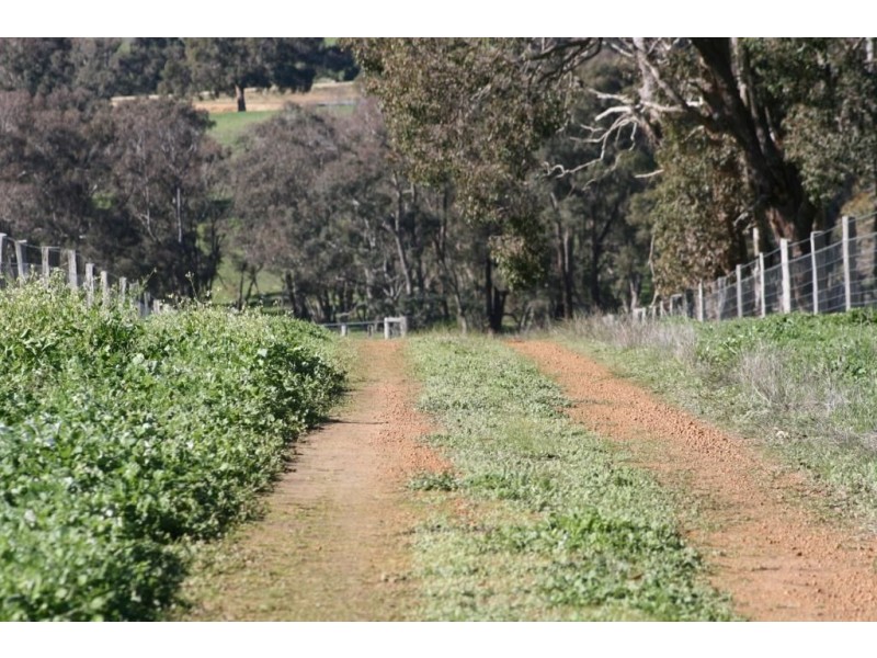 LOT 215 RIDGE VIEW AVE, Boyup Brook WA 6244