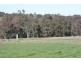 LOT 215 RIDGE VIEW AVE, Boyup Brook WA 6244