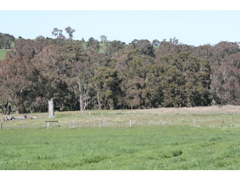 LOT 215 RIDGE VIEW AVE, Boyup Brook WA 6244