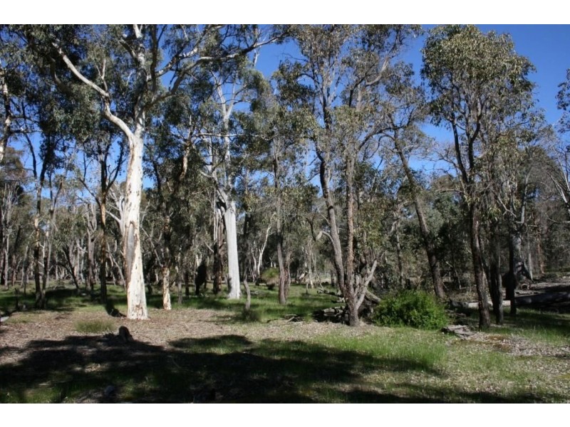 LOT 236 RIDGE VIEW AVE, Boyup Brook WA 6244
