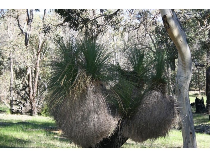 LOT 236 RIDGE VIEW AVE, Boyup Brook WA 6244