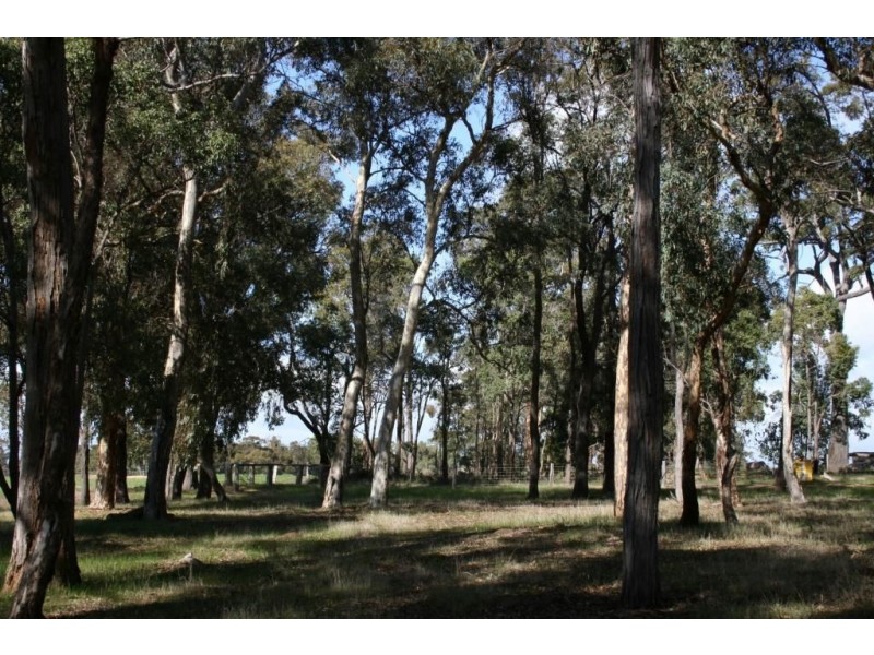 LOT 246 ZIG ZAG ROAD, Boyup Brook WA 6244