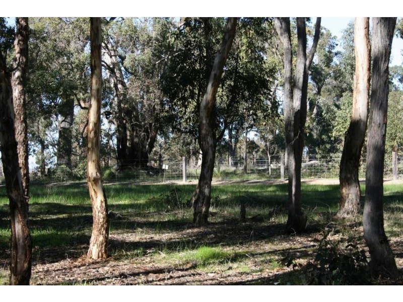 LOT 246 ZIG ZAG ROAD, Boyup Brook WA 6244