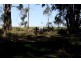 LOT 246 ZIG ZAG ROAD, Boyup Brook WA 6244