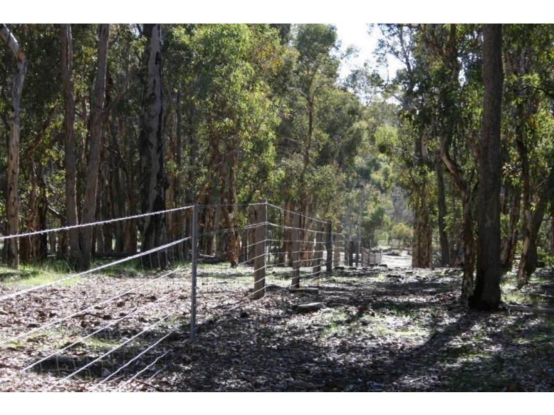 LOT 246 ZIG ZAG ROAD, Boyup Brook WA 6244